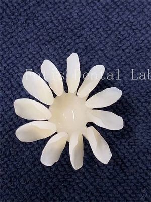 Vỏ sứ nha khoa chống vết bẩn Độ bền cao cho kết quả tối ưu